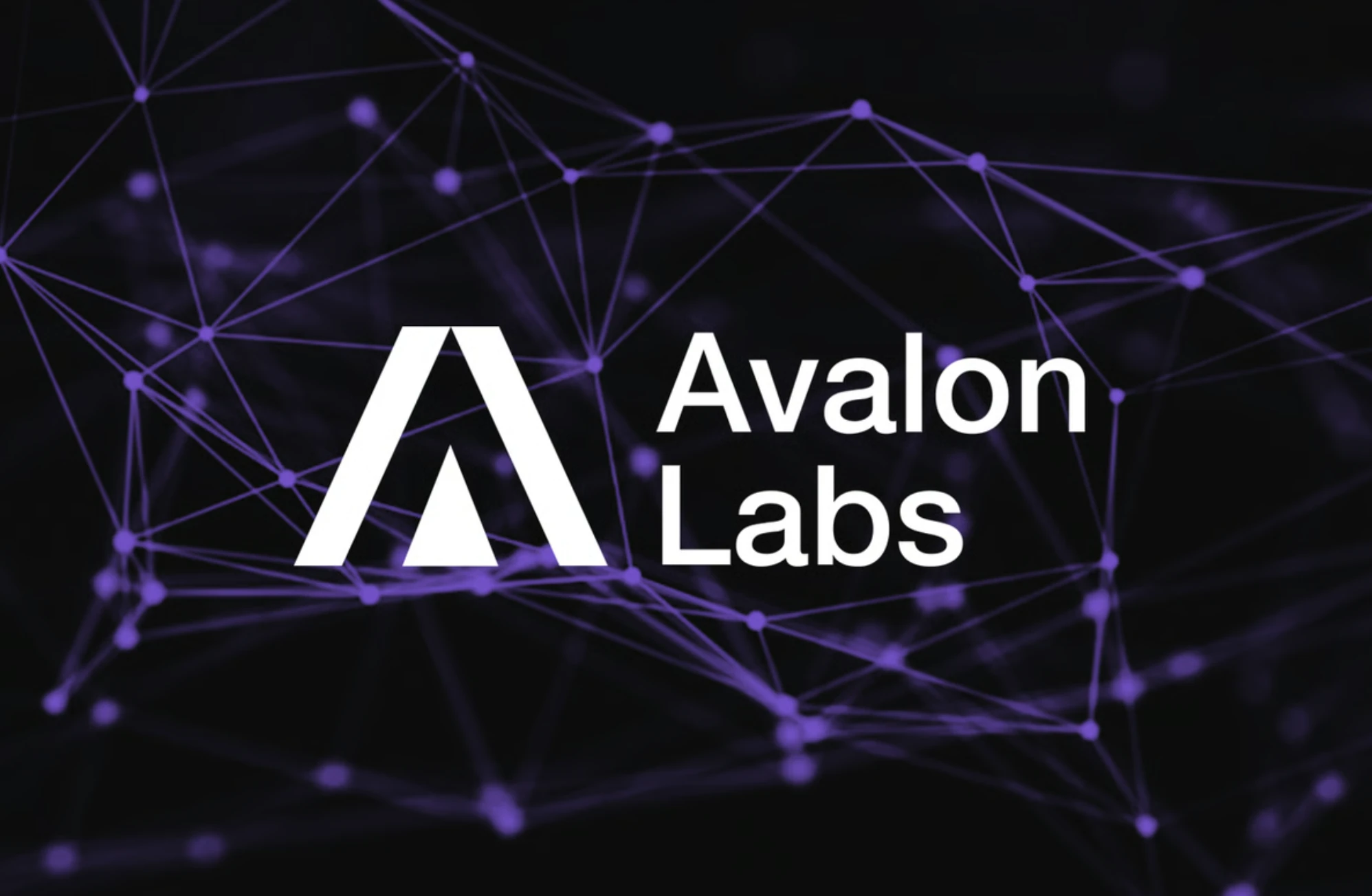 Avalon生态空投机制与收益最大化策略解析
