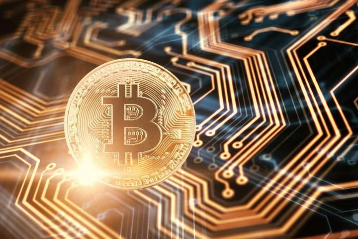币圈生存法则：新手避坑与实战指南