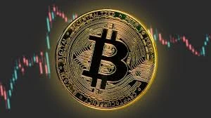 比特币生态是什么？包含哪些主流币种？