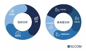 基本面分析(FA)在区块链中是什么？投资决策关键科普